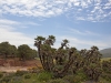 Beni Snassen Landscape - 5