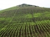 Agricultural Landscapes - 9 140215AgLand