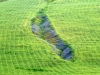 Agricultural Landscapes - 8 2008MG_2320