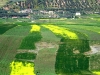Agricultural Landscapes - 10 DSC06643