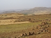 Agricultural Landscapes - 1