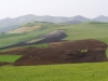 Agricultural Landscapes - 13 Farmland Scape 20090325