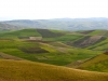 Agricultural Landscapes - 2