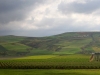 Agricultural Landscapes - 12 Landscape Road up Taza