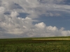 Agricultural Landscapes - 6