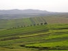Agricultural Landscapes - 5