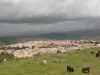 Shepherds & Herders - 3   IMG_0477
