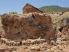 Shepherds & Herders - 4  Reworked Image Girl and Sheep