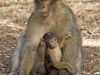 Mother&Baby