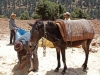 A Boy's Life: Morocco - 10