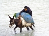 A Boy's Life: Morocco - 8