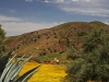 Countryside Mosques - 2b