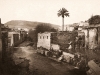 Larribe - 5