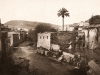 Larribe - 16