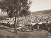 Larribe - 9