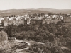 Larribe - 11