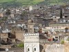 Fez Medina From Dar Balmira's Roof Deck - 14   Medina-View-Zalagh-and-Mustard-IMG_6000
