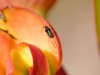 Fly - 23 20180417_8749