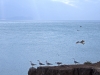 Landscapes: Mediterranean Coast Between Saida and Al Hociema - 17
