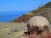 Rif Coast from Tetuan to Jeba - 18    14:47   04-23