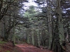 Mt. Tazzeka - 3