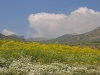 Region Saiss-Boulemane - 12