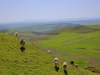 Region Saiss-Boulemane - 3
