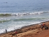 Atlantic Coast North (1) - 5 0074