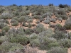 Atlantic Coast South - (1) - 5 0113