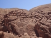 Dades 8