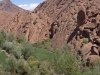 Dades 5