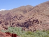 Dades 7