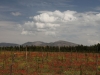 Landscapes of the Middle Atlas - 1