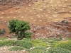 High Atlas Region West and South of Beni Mellal - 10