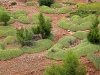High Atlas Region West and South of Beni Mellal - 17