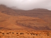 Ziz Valley & Gorges - 7 _4259