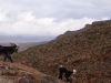 Ziz Valley & Gorges - 17 DSC06739