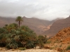 Ziz Valley & Gorges - 8 IMG_6465