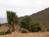 Ziz Valley & Gorges - 15 IMG_6541
