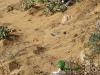 20190816_MoulayBouselhamTetouan_1759