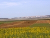 Moulay Bousselham - 1