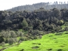 Mount Zerhoune - 4
