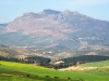 Mount Zerhoune - 1