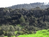 Mount Zerhoune - 5