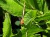 20180513_8851