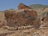 Shepherds - 2