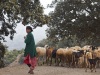 Portraits of Women - 1 -  Shepherds & Herders - 2