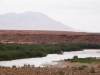 Moulouya River - 8 DSC06761