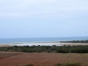 Moulouya River - 1