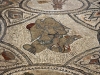 Volubilis - 7 DSC06669